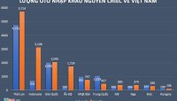 Giá ô tô sẽ rẻ đến mức nào khi thuế về 0%?